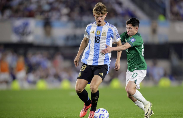 优化延伸部 优化延伸部