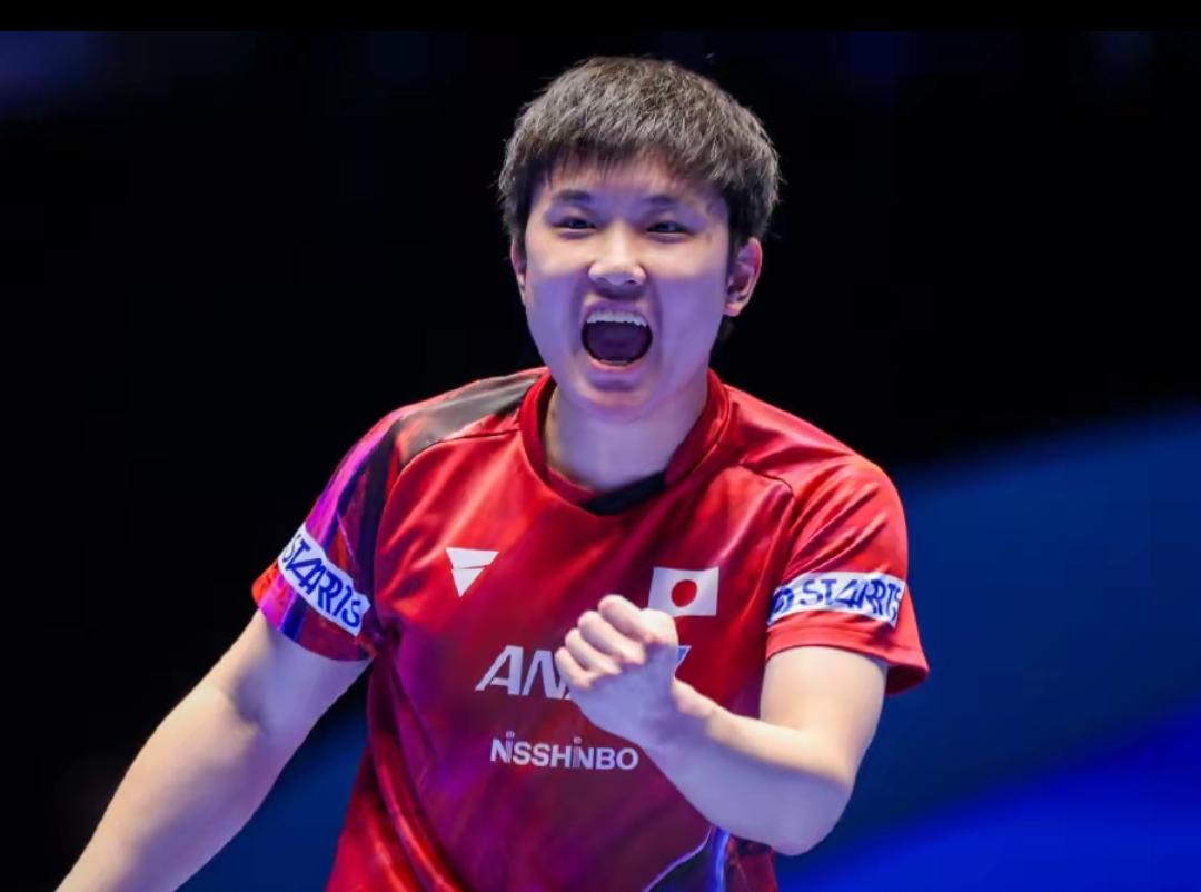 观赛体验成 观赛体验成