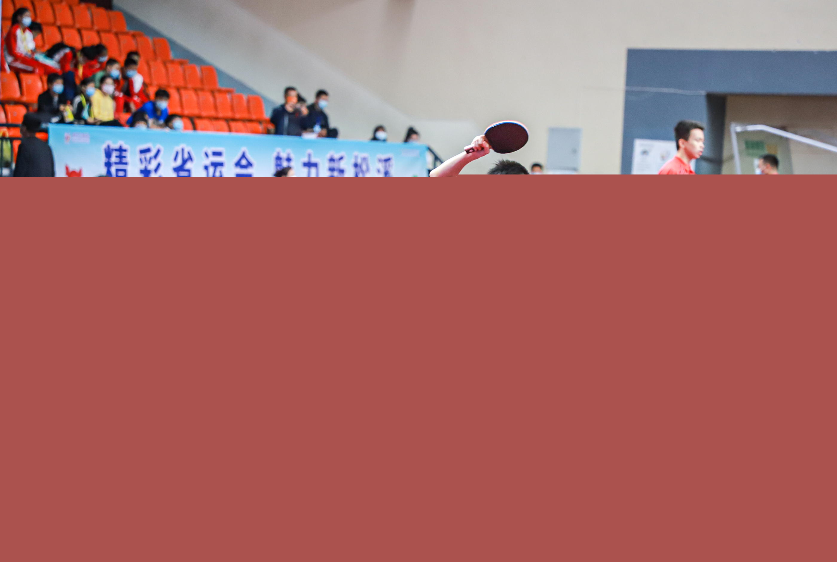 现了明显分 现了明显分