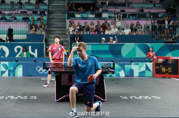 灰熊的比赛 灰熊的比赛